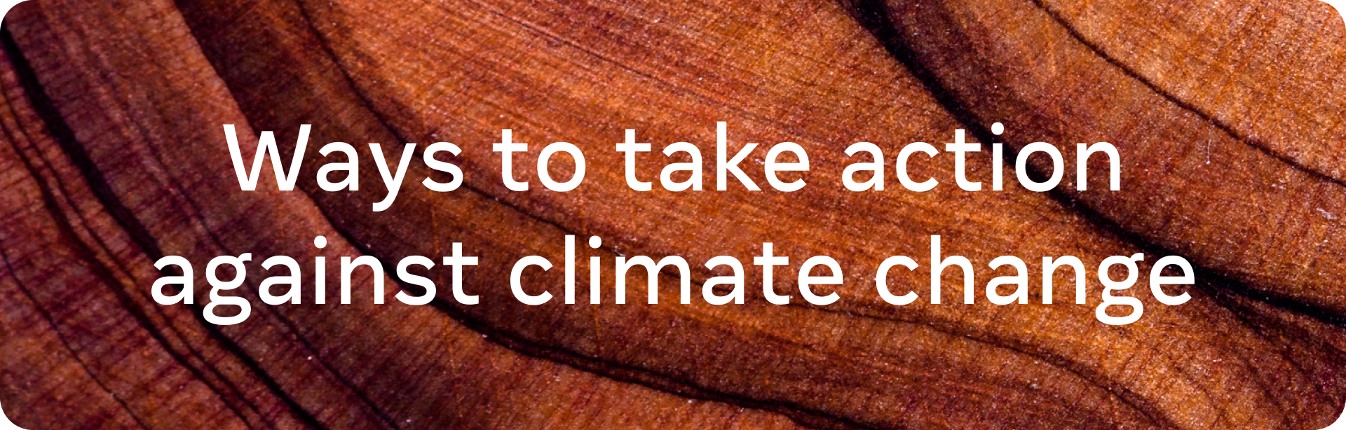 Ways to Take Action Against Climate Change graphic